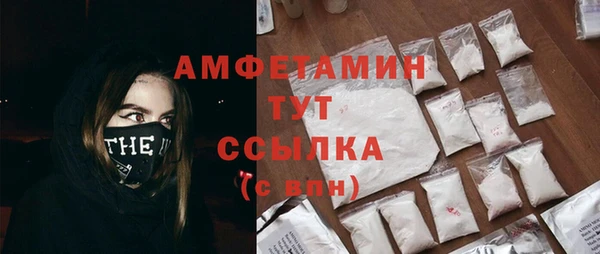 прущие грибы Щучье