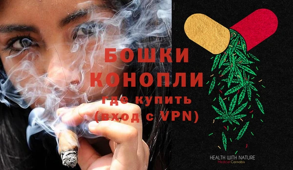 гидра Яранск