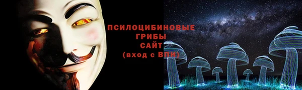 стаф Ельня