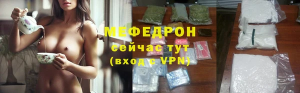 стаф Ельня