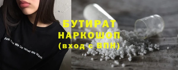 стаф Ельня