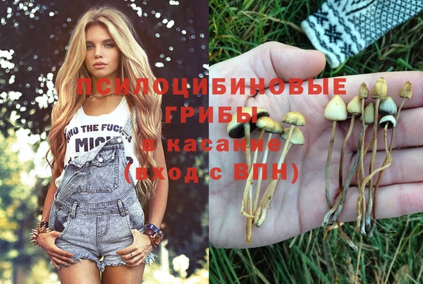 бошки Елизово