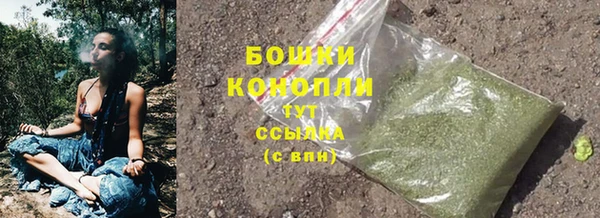стаф Ельня
