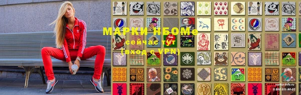 стаф Ельня
