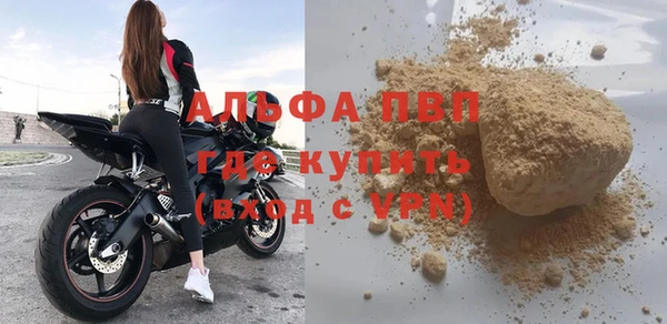 стаф Ельня