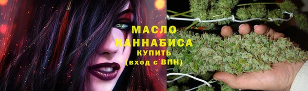 стаф Ельня